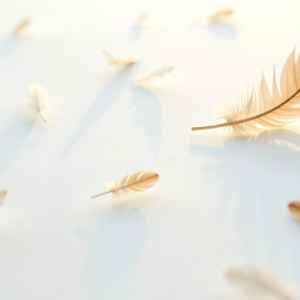 4c45da8c4c0383c9fa30870a7e61e25819981333